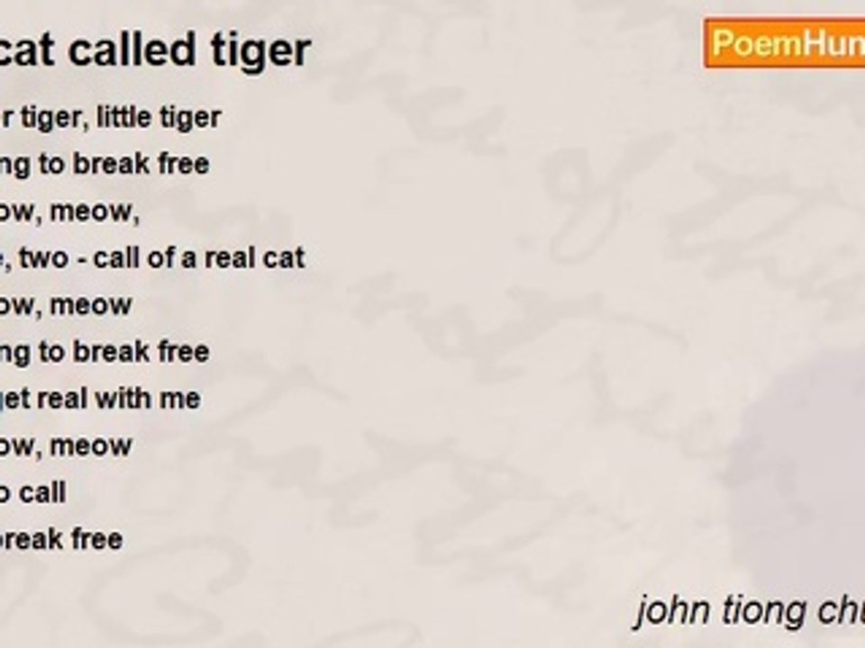 john tiong chunghoo - a cat called tiger