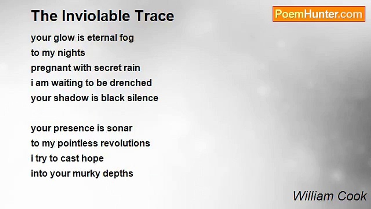 William Cook - The Inviolable Trace