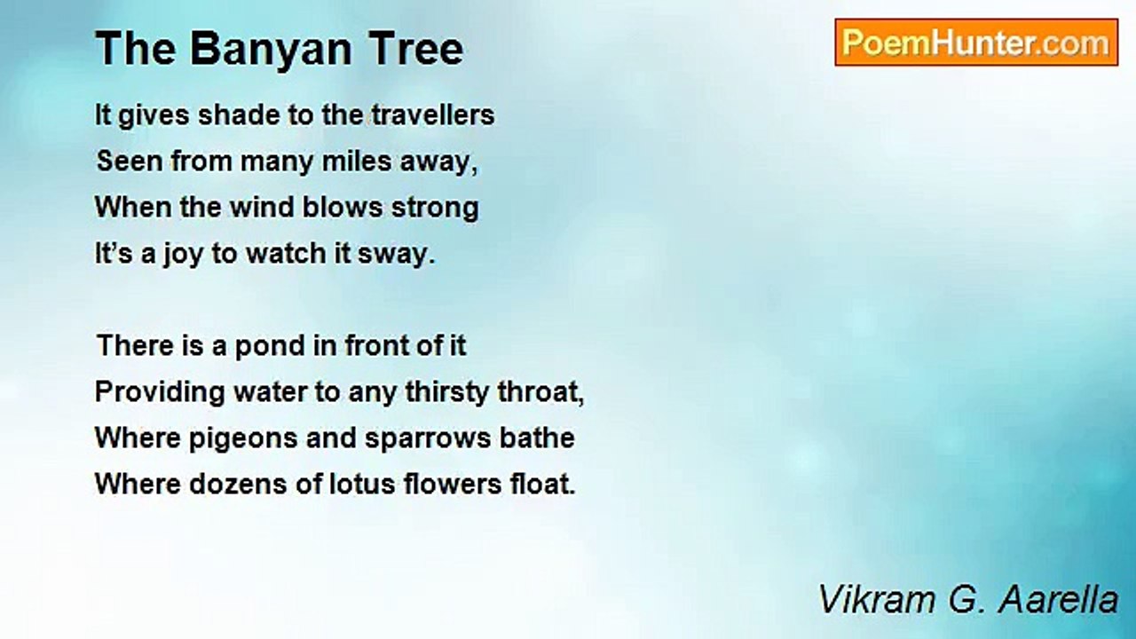 Vikram G. Aarella - The Banyan Tree