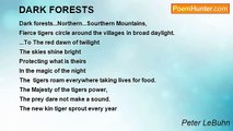 Peter LeBuhn - DARK FORESTS
