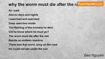 Beo Nguyen - why the worm must die after the rain
