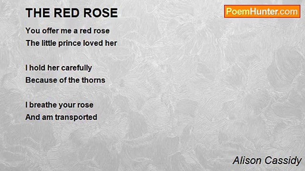 Alison Cassidy - THE RED ROSE