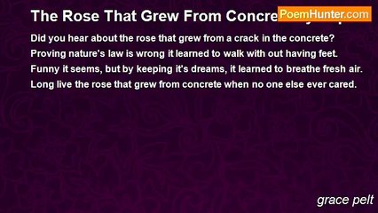 grace pelt - The Rose That Grew From Concrete by Tupac