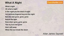 Allan James Saywell - What A Night