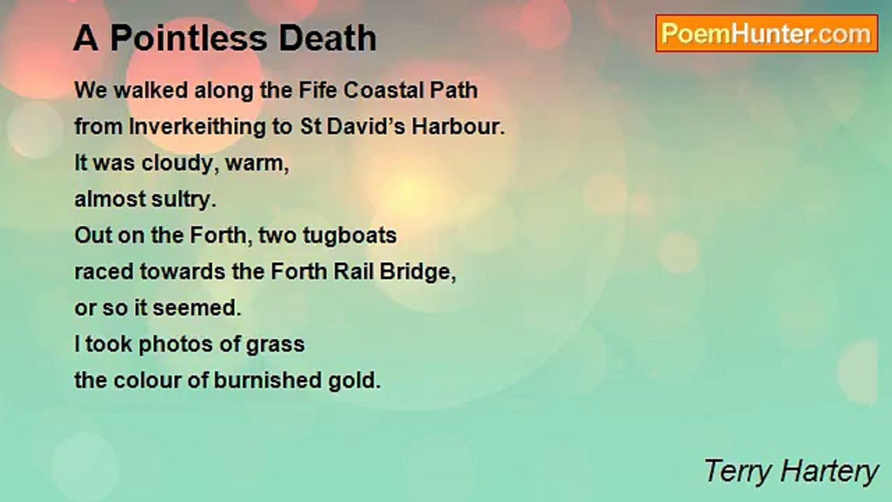 Terry Hartery - A Pointless Death