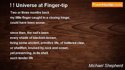 Michael Shepherd - ! ! Universe at Finger-tip