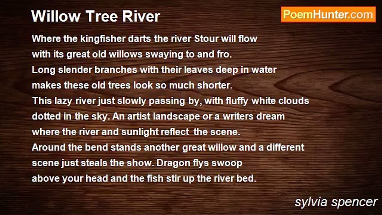 sylvia spencer - Willow Tree River
