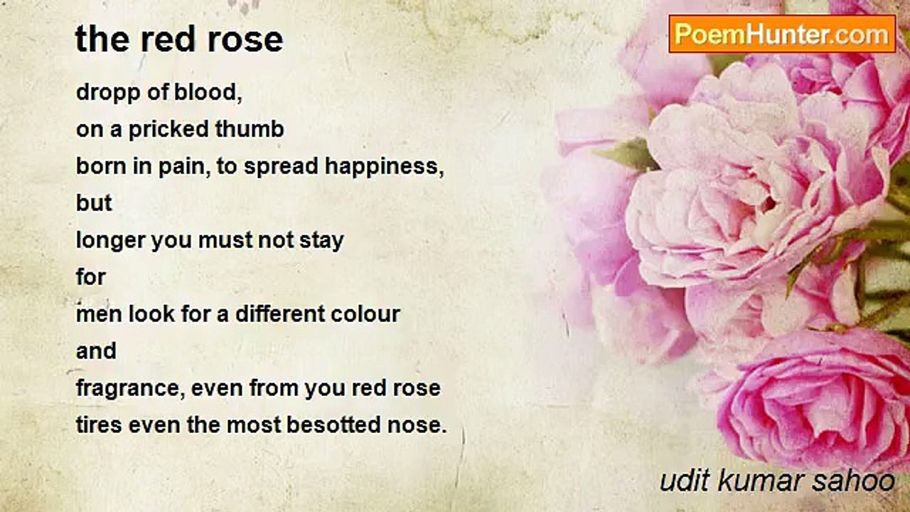 udit kumar sahoo - the red rose