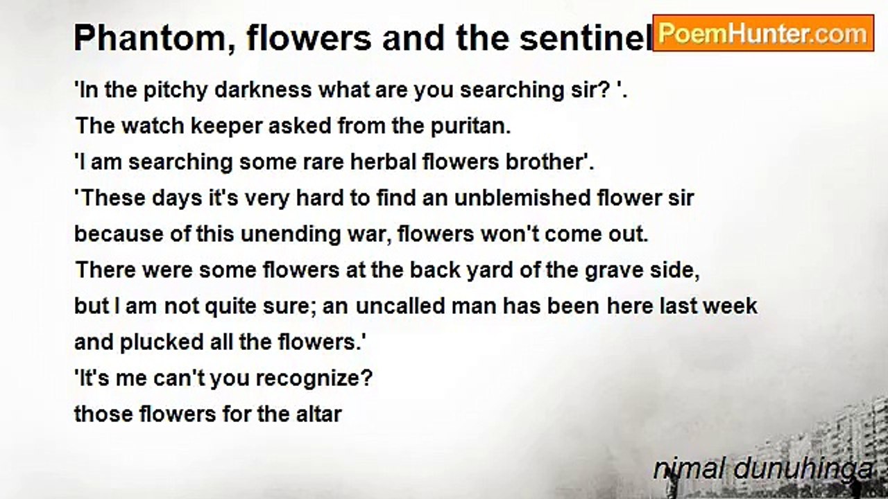 nimal dunuhinga - Phantom, flowers and the sentinel