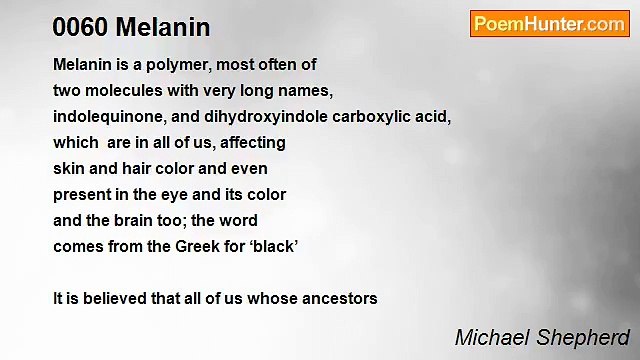 Michael Shepherd - 0060 Melanin