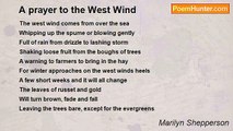 Marilyn Shepperson - A prayer to the West Wind