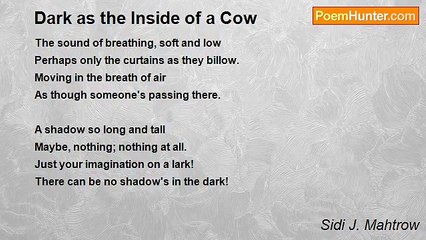 Sidi J. Mahtrow - Dark as the Inside of a Cow