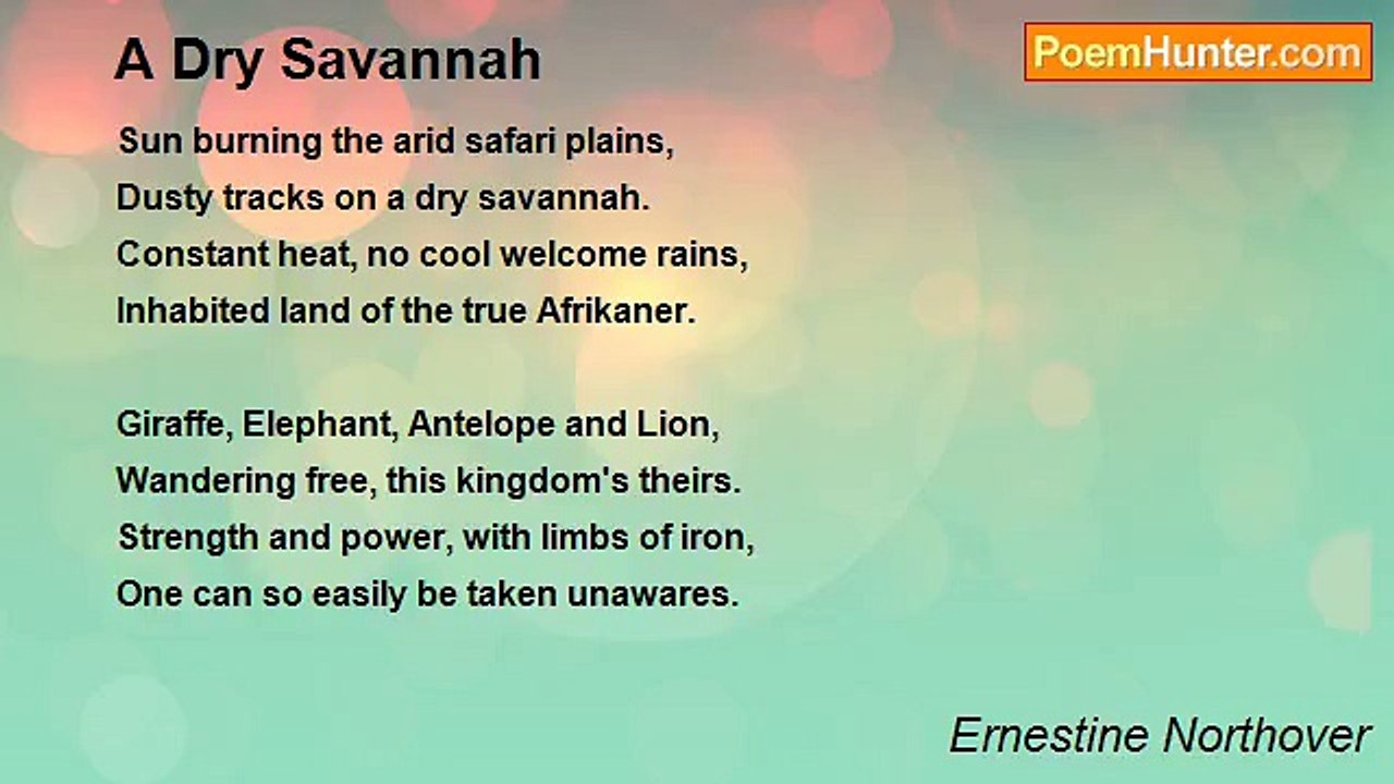 Ernestine Northover - A Dry Savannah