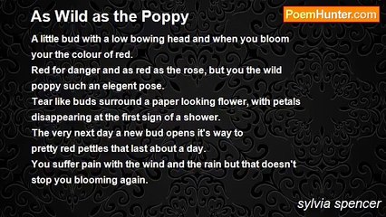 sylvia spencer - As Wild as the Poppy