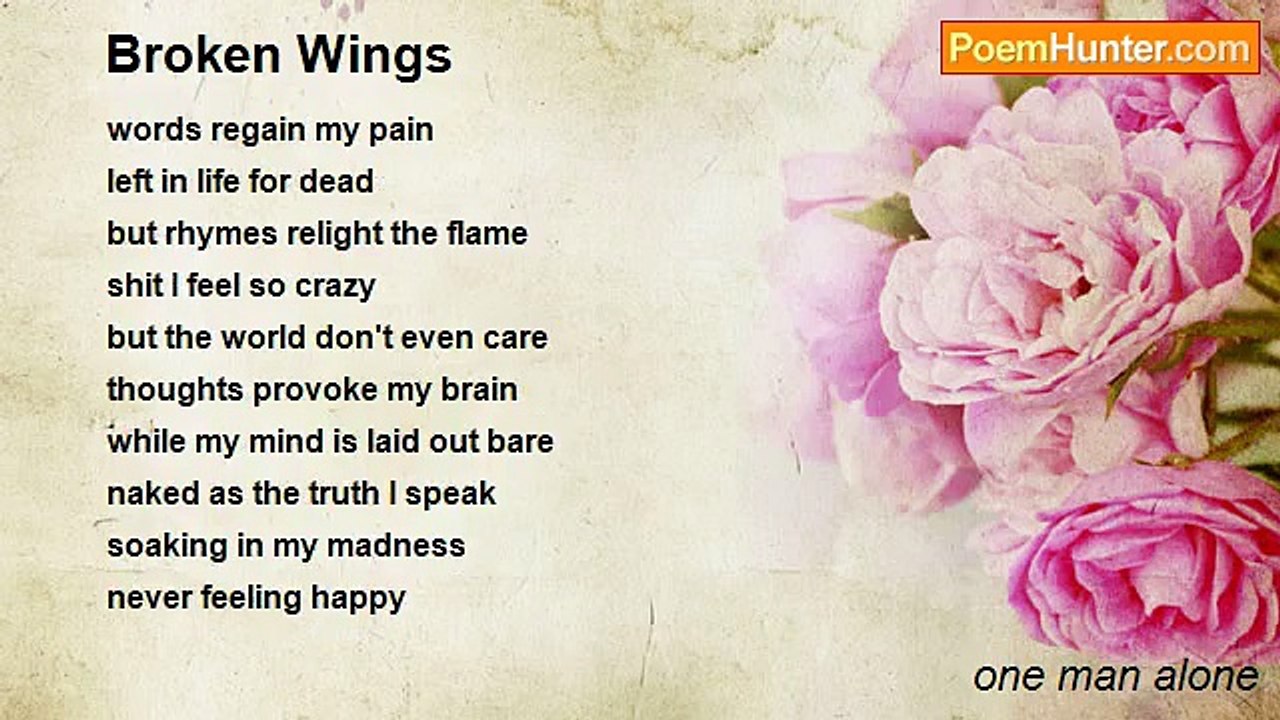 one man alone - Broken Wings