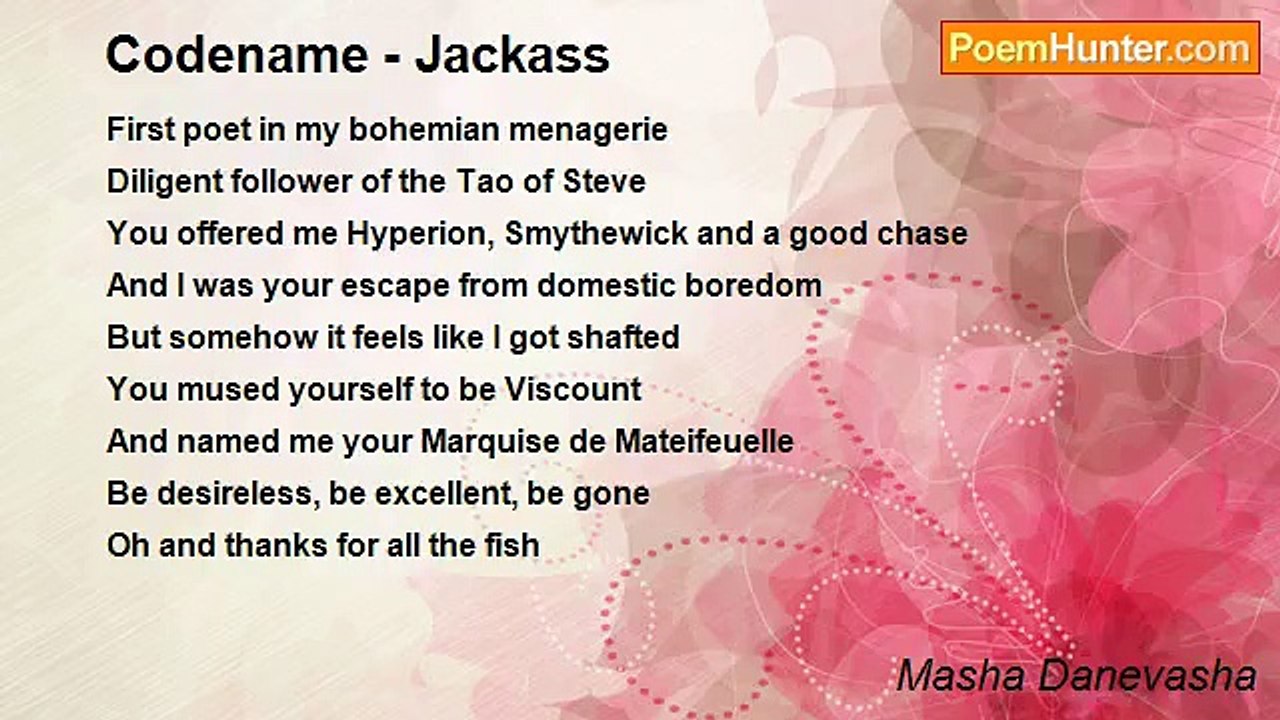 Masha Danevasha - Codename - Jackass