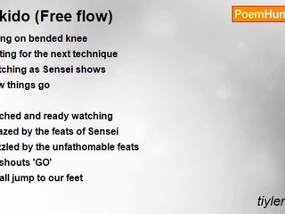 tiyler durden - Aikido (Free flow)