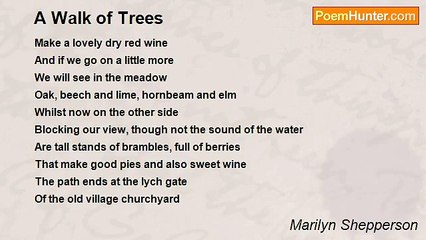 Marilyn Shepperson - A Walk of Trees