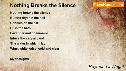 Raymond J Wright - Nothing Breaks the Silence