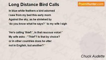Chuck Audette - Long Distance Bird Calls