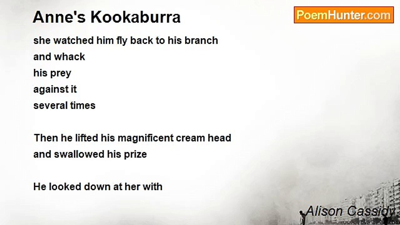 Alison Cassidy - Anne's Kookaburra