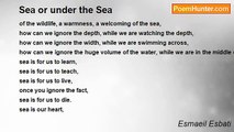 Esmaeil Esbati - Sea or under the Sea