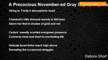 Debora Short - A Precocious November-ed Gray Sky   (couplets)