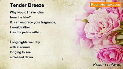 Kolitha Lelwala - Tender Breeze