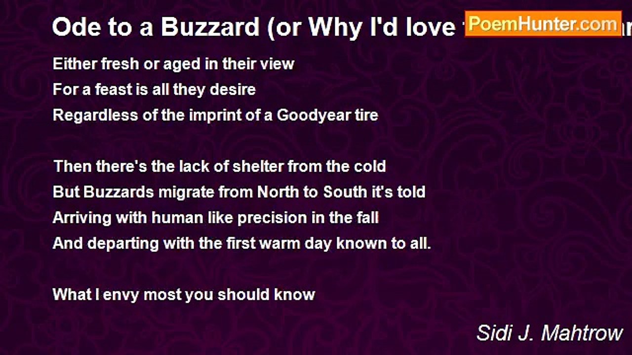 Sidi J. Mahtrow - Ode to a Buzzard (or Why I'd love to be a Buzzard)