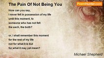 Michael Shepherd - The Pain Of Not Being You