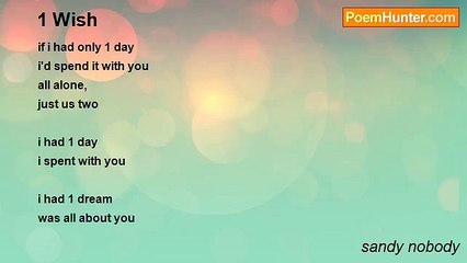 sandy nobody - 1 Wish
