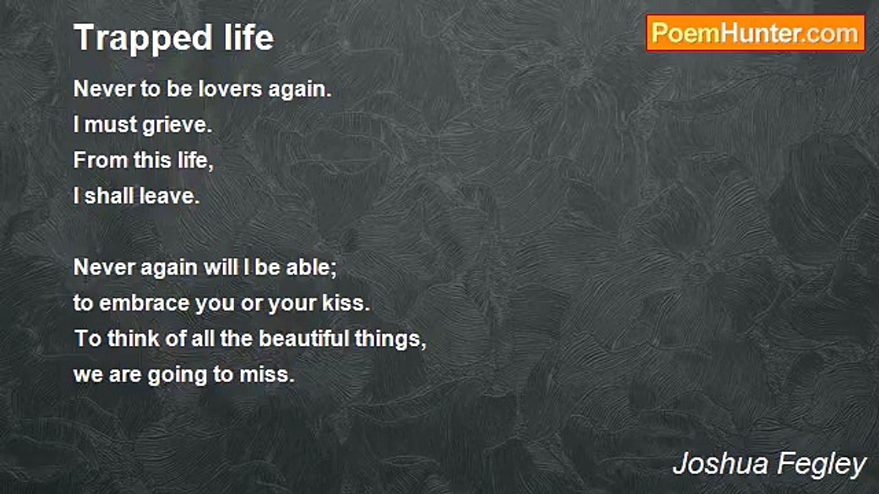 Joshua Fegley - Trapped life