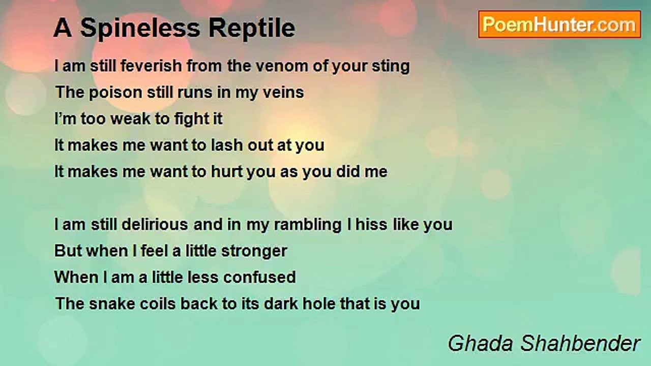Ghada Shahbender - A Spineless Reptile