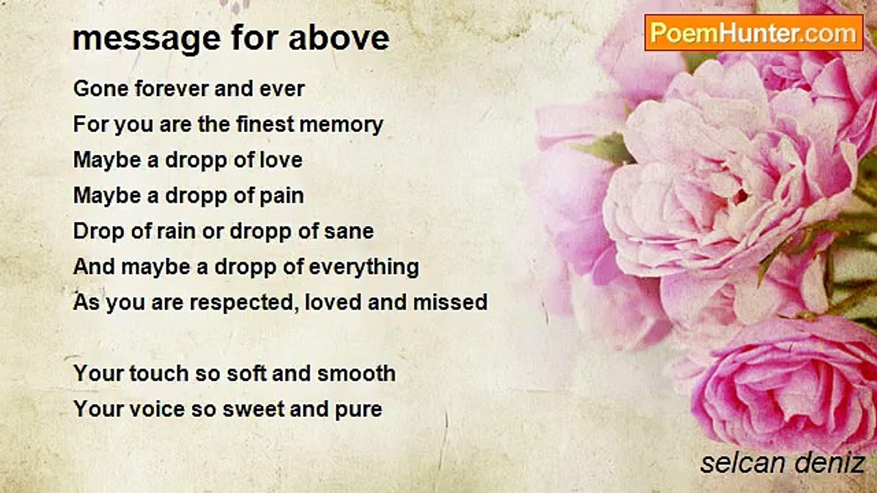 selcan deniz - message for above