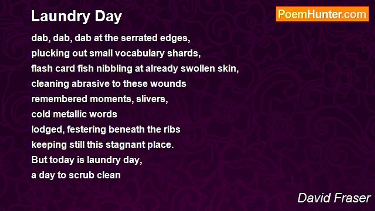 David Fraser - Laundry Day