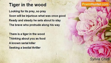 Sylvia Chidi - Tiger in the wood