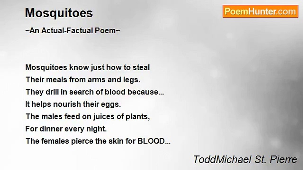 ToddMichael St. Pierre - Mosquitoes