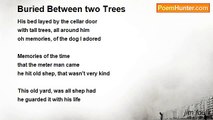 jim foulk - Buried Between two Trees