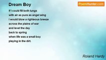 Roland Hardy - Dream Boy