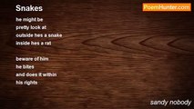 sandy nobody - Snakes