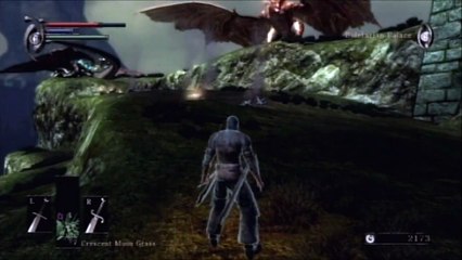Demon's Souls Wanderer Walkthrough Part 4