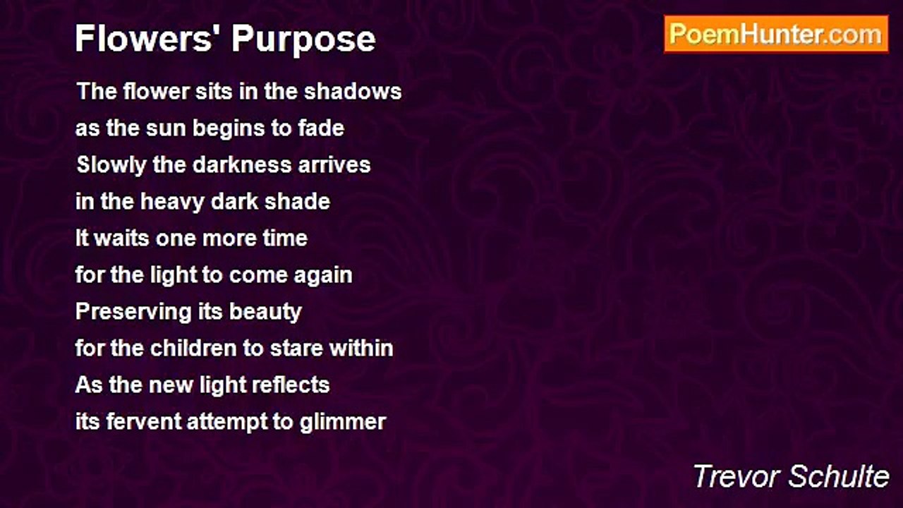 Trevor Schulte - Flowers' Purpose
