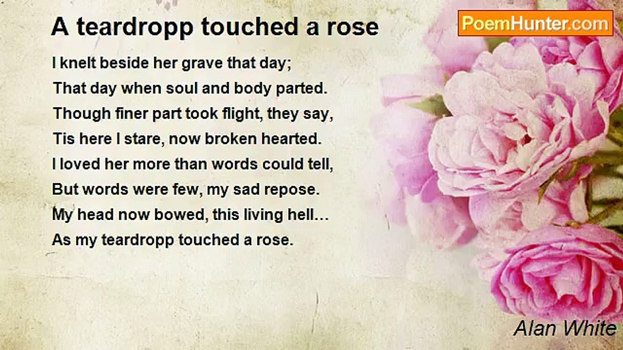 Alan White - A teardropp touched a rose