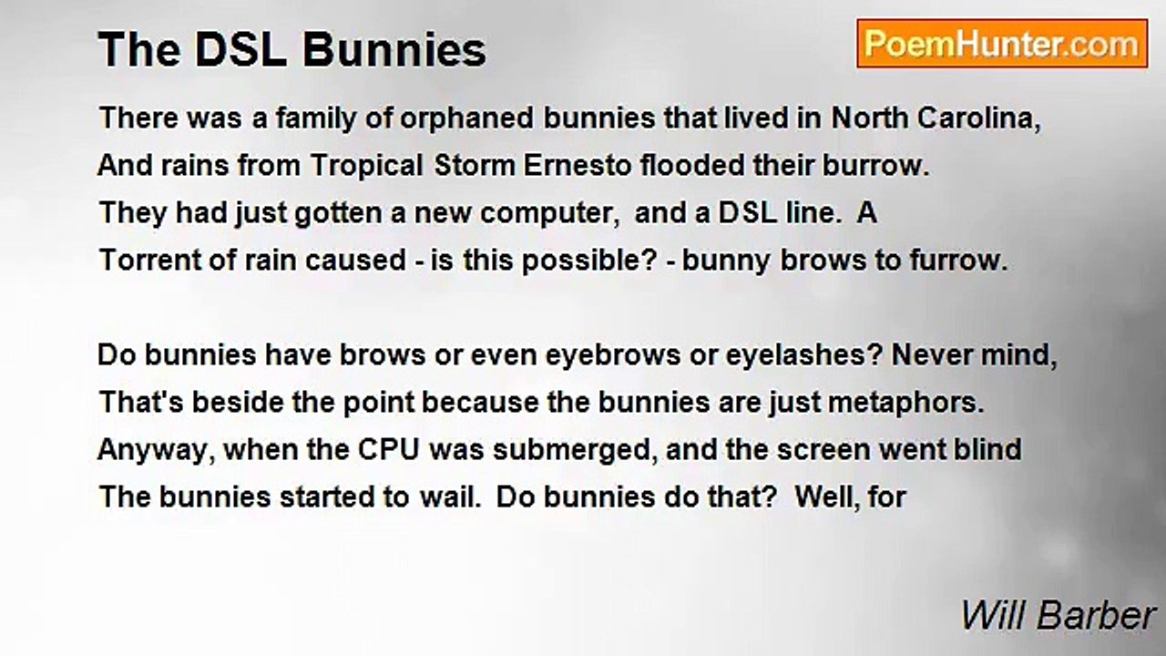 Will Barber - The DSL Bunnies