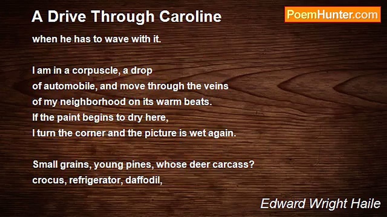 Edward Wright Haile - A Drive Through Caroline