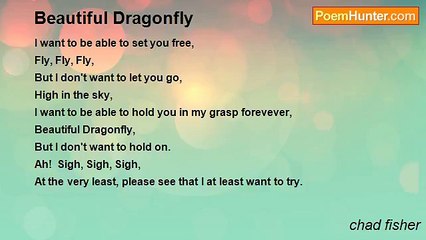 chad fisher - Beautiful Dragonfly