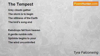 Tyra Falconwing - The Tempest