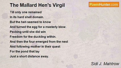 Sidi J. Mahtrow - The Mallard Hen's Virgil