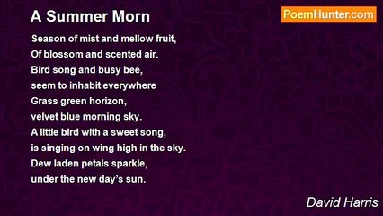 David Harris - A Summer Morn