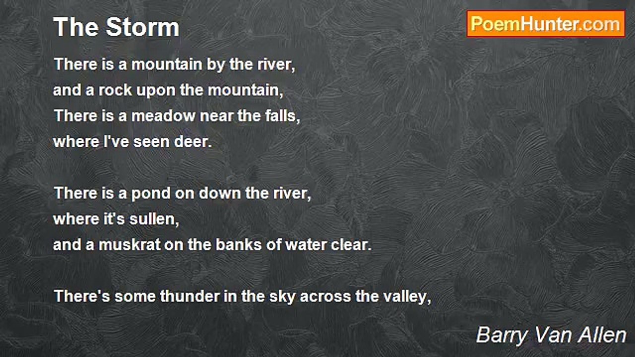 Barry Van Allen - The Storm
